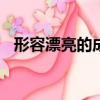 形容漂亮的成語100個（形容漂亮的成語）