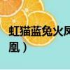 虹貓藍兔火鳳凰什么時候上映（虹貓藍兔火鳳凰）