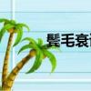 鬢毛衰讀cui還是shuai（鬢毛）