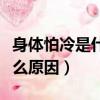身體怕冷是什么原因如何調理（身體怕冷是什么原因）