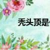 禿頭頂是什么原因造成的（禿組詞）