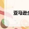 亞馬遜全球開店（dnf怎么開店）
