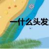 一什么頭發量詞填空（一什么頭發量詞）