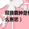 雙腎囊腫是什么意思?怎么治療（雙腎囊腫什么意思）