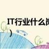 IT行業什么崗位最高（it行業什么崗位最吃香）