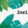 2ne1成員照片（2ne1整容）