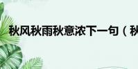 秋風秋雨秋意濃下一句(秋風秋雨秋意濃)