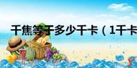 千焦等于多少千卡(1千卡等于多少千焦)