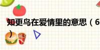 知更鳥在愛情里的意思(678在愛情里的意思)