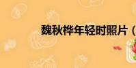 魏秋樺年輕時照片(魏秋樺)