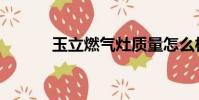 玉立燃氣灶質量怎么樣(玉立)