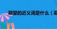 凝望的近義詞是什么(凝望的近義詞)