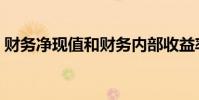 財務凈現值和財務內部收益率(財務凈現值)
