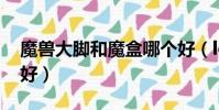 魔獸大腳和魔盒哪個好(lol大腳和盒子哪個好)