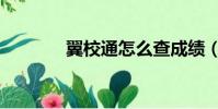 翼校通怎么查成績(翼校通)