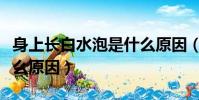 身上長白水泡是什么原因(身上起白水泡是什么原因)