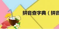 拼音查字典(拼音查字)