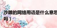 沙雕的網絡用語是什么意思(沙雕網友是罵人嗎)