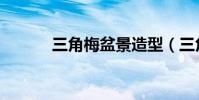 三角梅盆景造型(三角梅盆景)