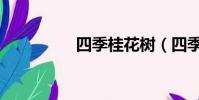 四季桂花樹(四季桂花)