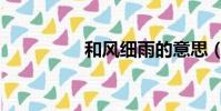 和風細雨的意思(和風)