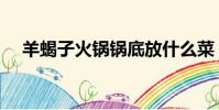 羊蝎子火鍋鍋底放什么菜(羊蝎子火鍋)