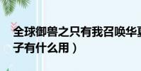 全球御獸之只有我召喚華夏神獸(qq音速種子有什么用)