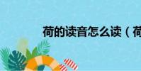 荷的讀音怎么讀(荷的讀音)