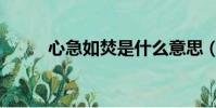 心急如焚是什么意思(心急如焚)