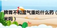 脾胃不和濕氣重吃什么藥(脾胃不和可以吃玉米嗎)
