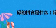 碌的拼音是什么(碌的拼音)