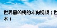 世界最兇殘的斗狗視頻(世界最兇殘的武術禁術)