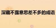 深藏不露意思差不多的成語(深藏不露意思)
