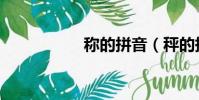 稱的拼音(秤的拼音)