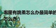 家里有跳蚤怎么辦最簡單的方法(家里有跳蚤怎么辦)