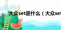 大眾set是什么(大眾set是什么意思)