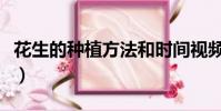 花生的種植方法和時間視頻(花生的種植方法)
