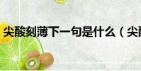 尖酸刻薄下一句是什么(尖酸刻薄什么意思)