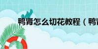 鴨腎怎么切花教程(鴨腎怎么切花)