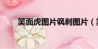 笑面虎圖片諷刺圖片(笑面虎圖片)