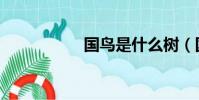 國鳥是什么樹(國鳥)