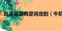 紅茶菌致癌是肯定的(牛奶致癌是真的嗎)