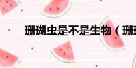 珊瑚蟲是不是生物(珊瑚是生物嗎)