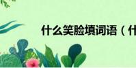 什么笑臉填詞語(什么笑臉)