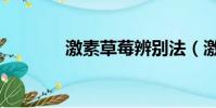 激素草莓辨別法(激素草莓)