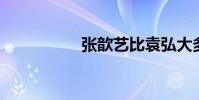 張歆藝比袁弘大多少歲