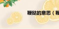 鞭撻的意思(鞭撻)