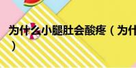 為什么小腿肚會酸疼(為什么小腿肚會特別大)