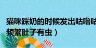貓咪踩奶的時候發出咕嚕咕嚕的聲音(貓踩奶頻繁肚子有蟲)