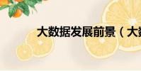大數據發展前景(大數據前景)